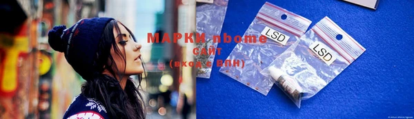 apvp Няндома
