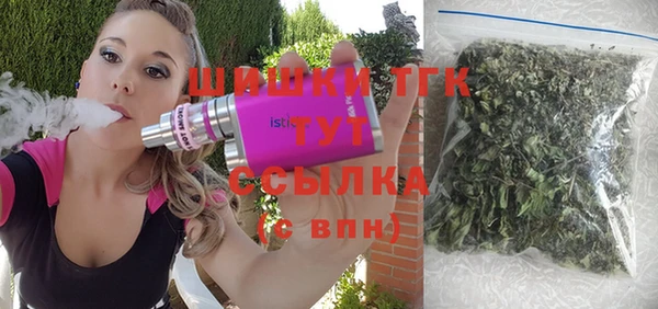 apvp Няндома