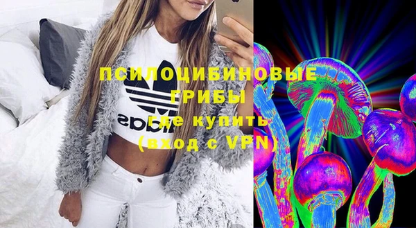 apvp Няндома